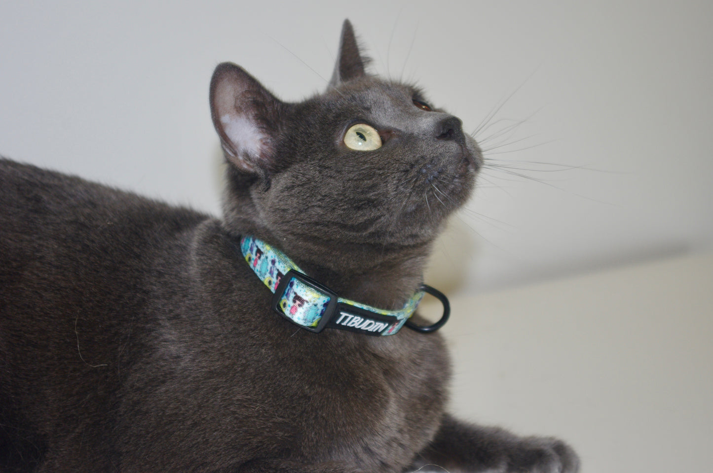 Collar Boo