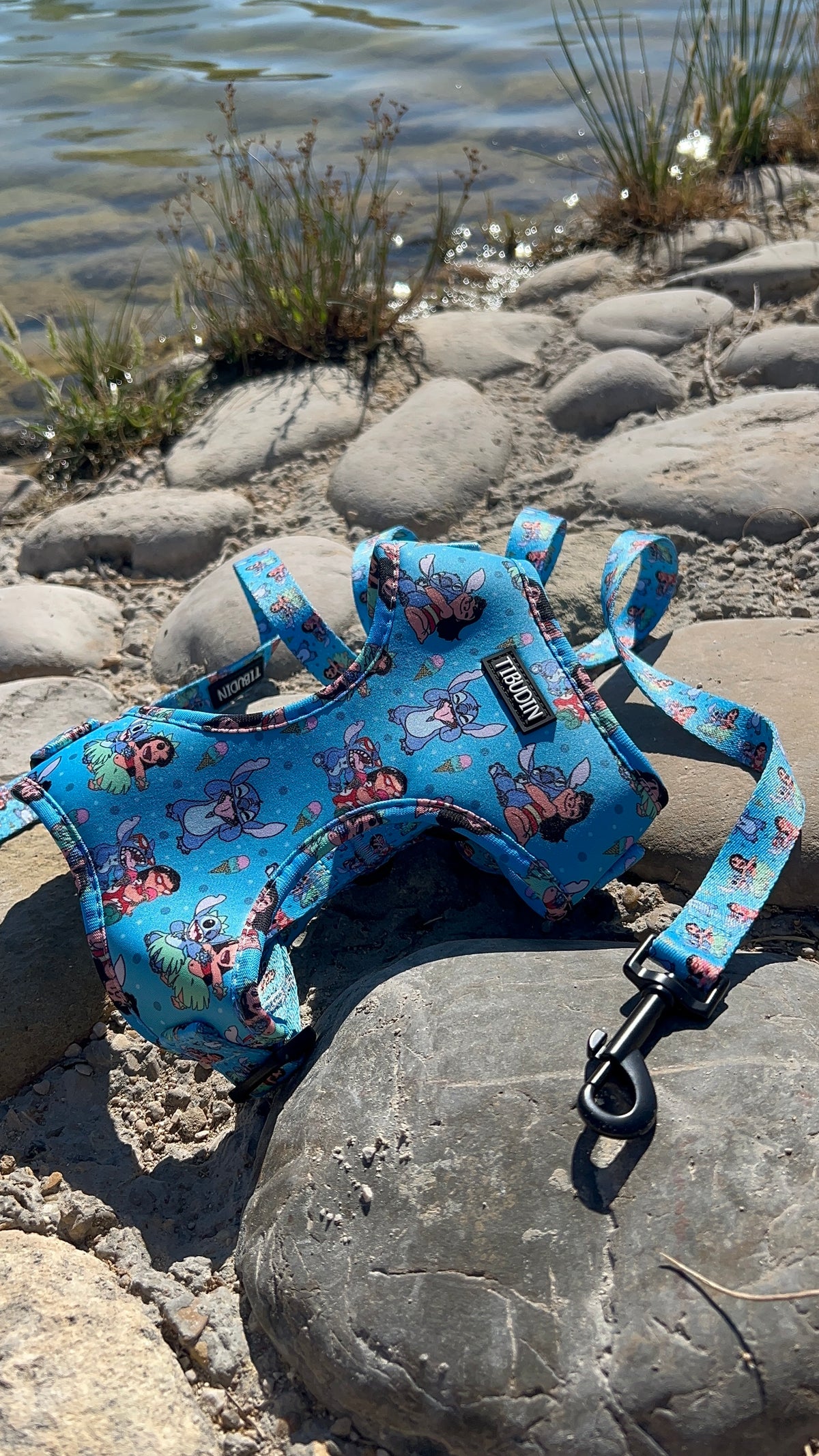 Pack arnés ajustable y correa Aloha