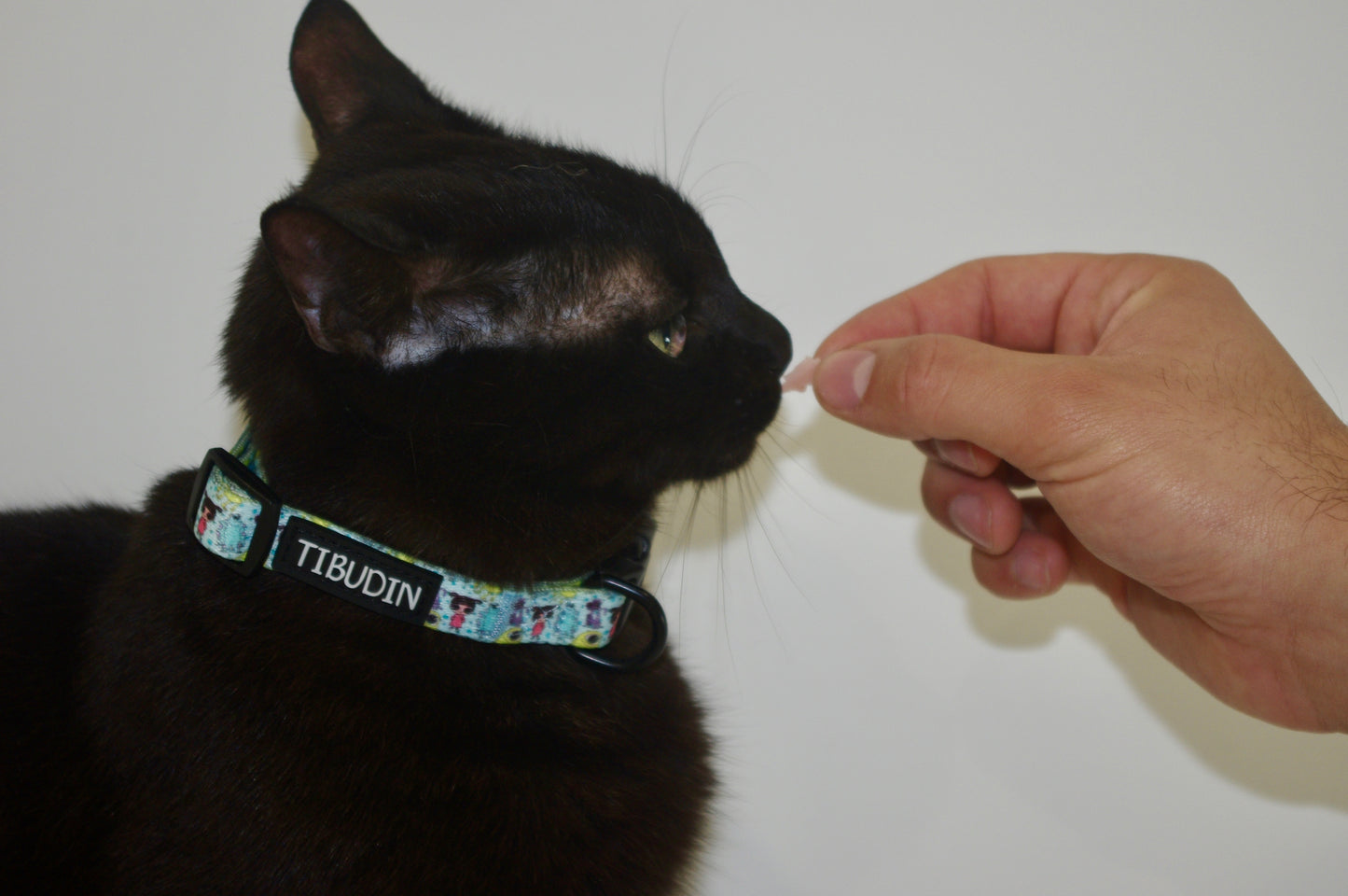 Collar Boo
