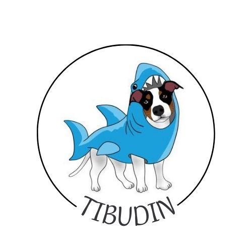 TIBUDIN 